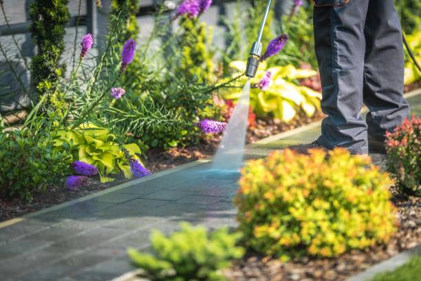 Best Dumpster Area Cleaning  in Mackinac Island, MI